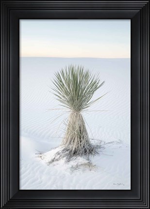 Framed Yucca in White Sands National Monument Print