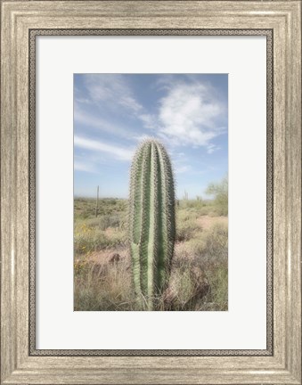 Framed Saguaro Print