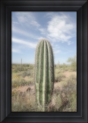 Framed Saguaro Print