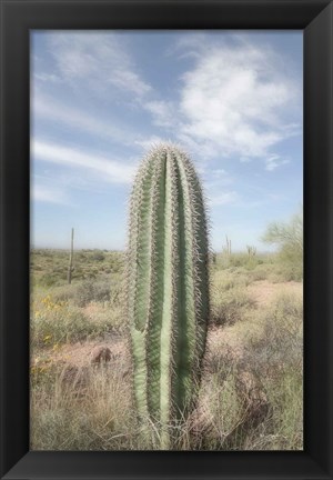 Framed Saguaro Print