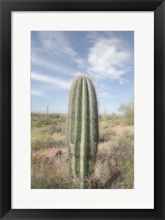 Framed Saguaro Print