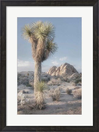 Framed Joshua Tree National Park I Print
