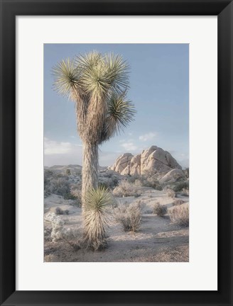 Framed Joshua Tree National Park I Print