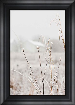 Framed Early Snow Print