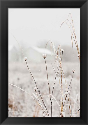 Framed Early Snow Print