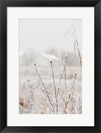 Framed Early Snow Print