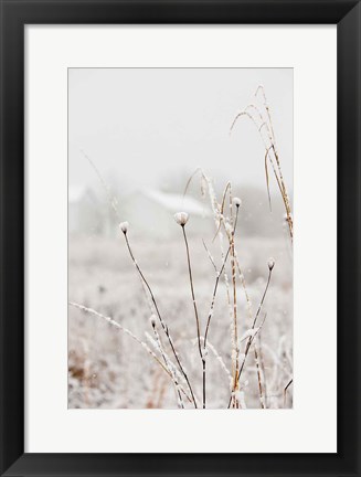 Framed Early Snow Print