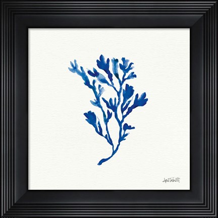 Framed Deep Sea Botanical II Print