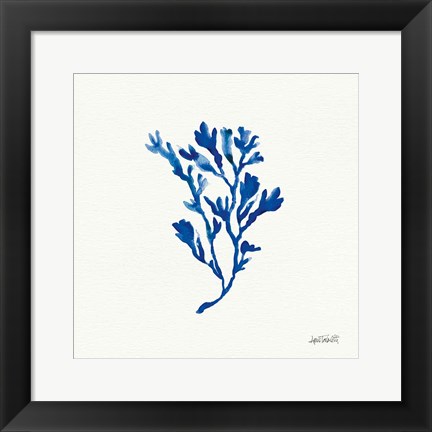 Framed Deep Sea Botanical II Print