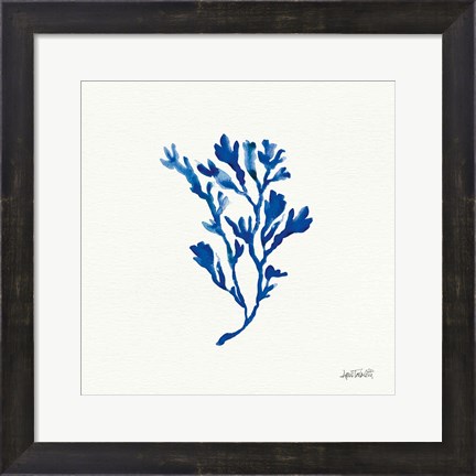 Framed Deep Sea Botanical II Print