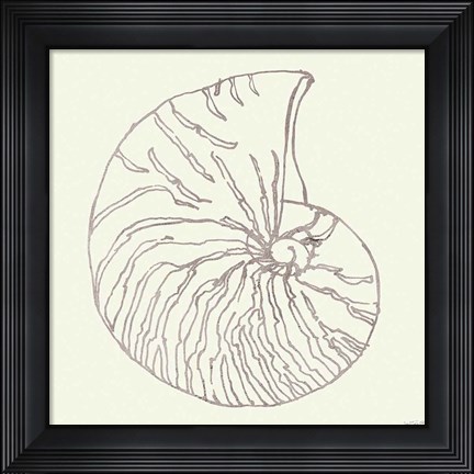 Framed Coastal Breeze Shell Sketches VII Silver Print