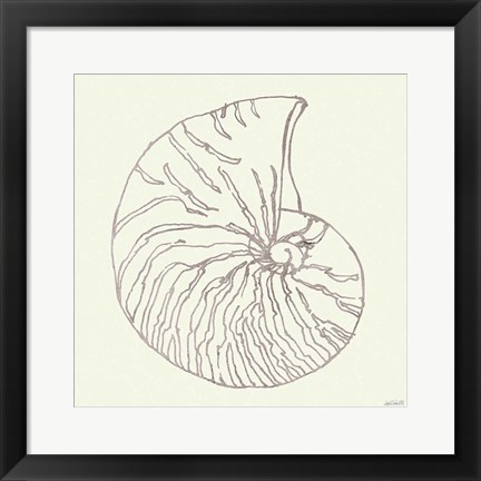 Framed Coastal Breeze Shell Sketches VII Silver Print