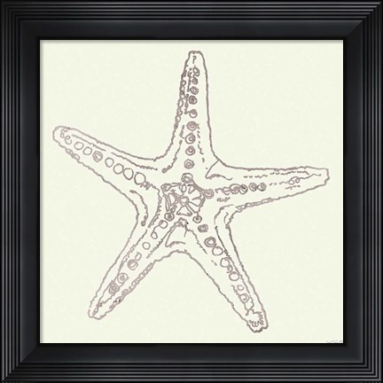 Framed Coastal Breeze Shell Sketches VI Silver Print