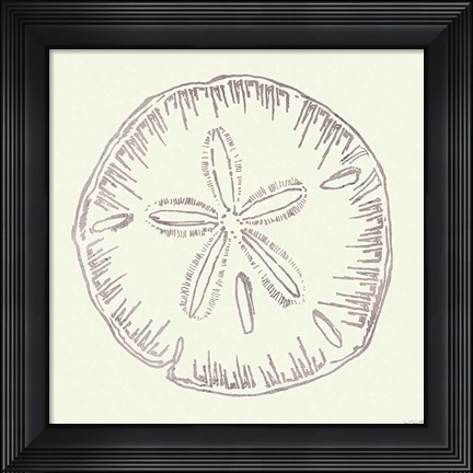 Framed Coastal Breeze Shell Sketches IV Silver Print