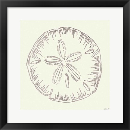 Framed Coastal Breeze Shell Sketches IV Silver Print