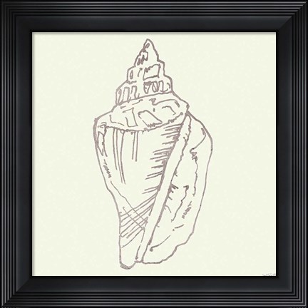 Framed Coastal Breeze Shell Sketches III Silver Print