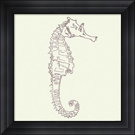 Framed Coastal Breeze Shell Sketches II Silver Print