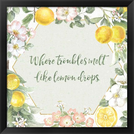 Framed Citrus Charm III Print