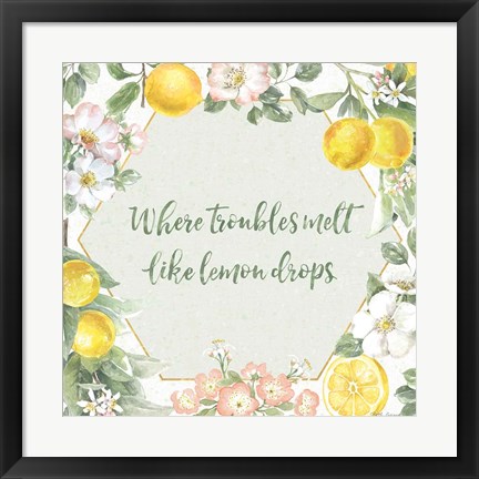 Framed Citrus Charm III Print