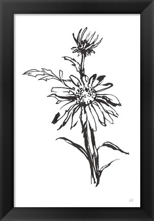 Framed Line Echinacea I Print