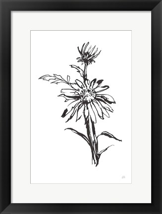 Framed Line Echinacea I Print
