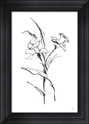 Framed Line Daffodil Print