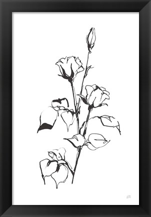 Framed Line Rosebuds Print