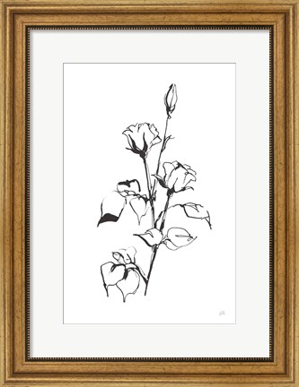Framed Line Rosebuds Print