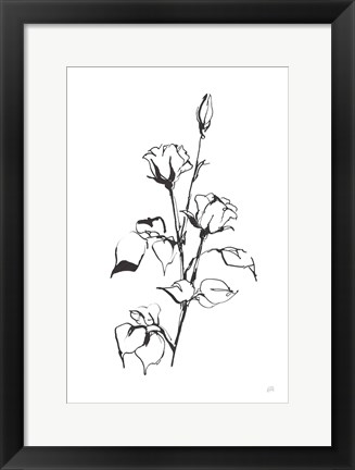 Framed Line Rosebuds Print