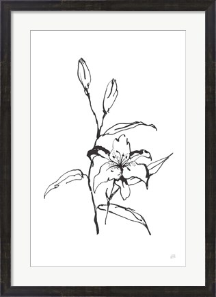 Framed Line Tiger Lily Print