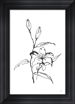 Framed Line Tiger Lily Print
