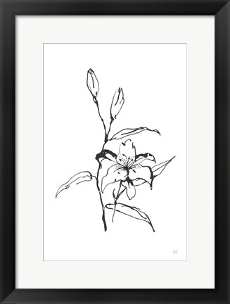 Framed Line Tiger Lily Print