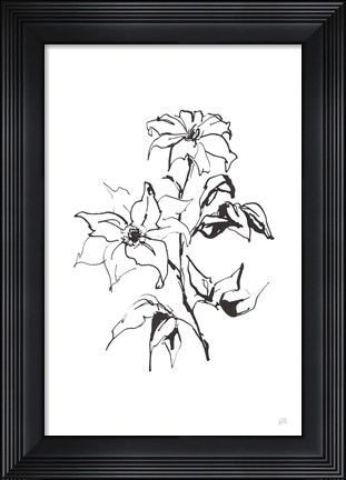 Framed Line Clematis Print