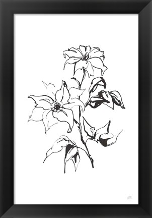 Framed Line Clematis Print