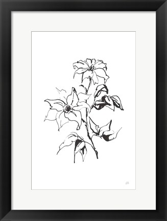 Framed Line Clematis Print