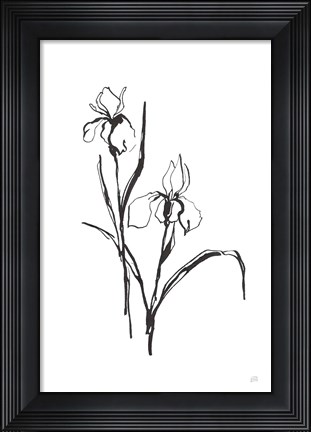Framed Line Iris III Print