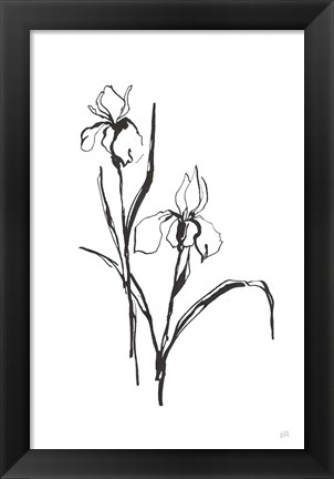 Framed Line Iris III Print