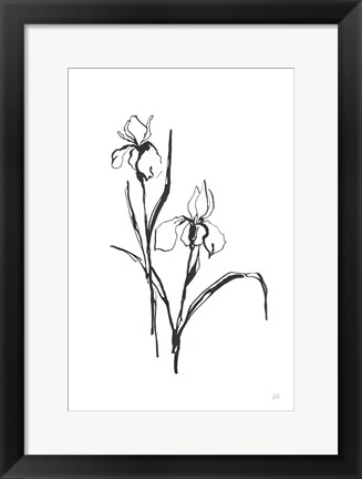 Framed Line Iris III Print