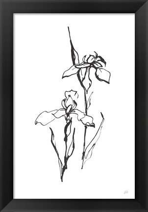 Framed Line Iris II Print