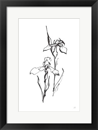 Framed Line Iris II Print