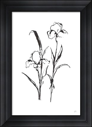 Framed Line Iris I Print