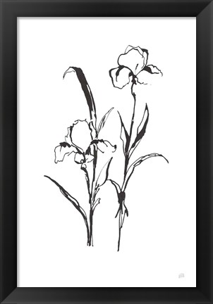 Framed Line Iris I Print