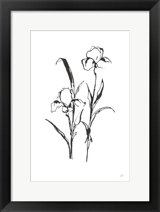 Framed Line Iris I Print