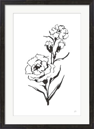 Framed Line Carnation III Print
