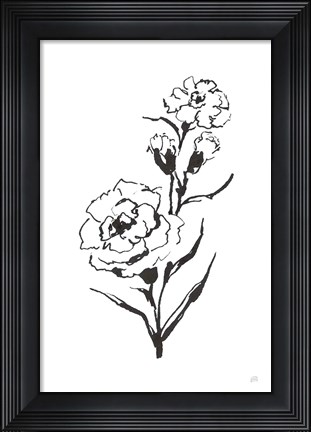Framed Line Carnation III Print
