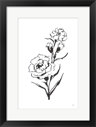 Framed Line Carnation III Print