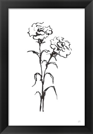 Framed Line Carnation II Print