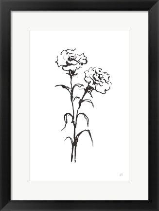 Framed Line Carnation II Print