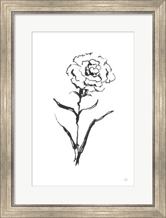 Framed Line Carnation I Print