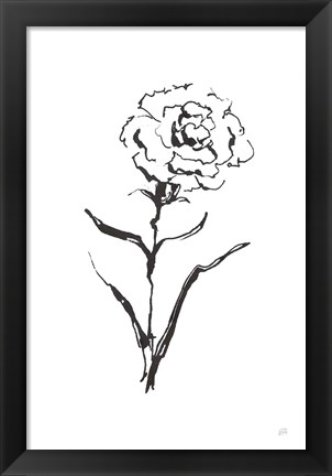 Framed Line Carnation I Print